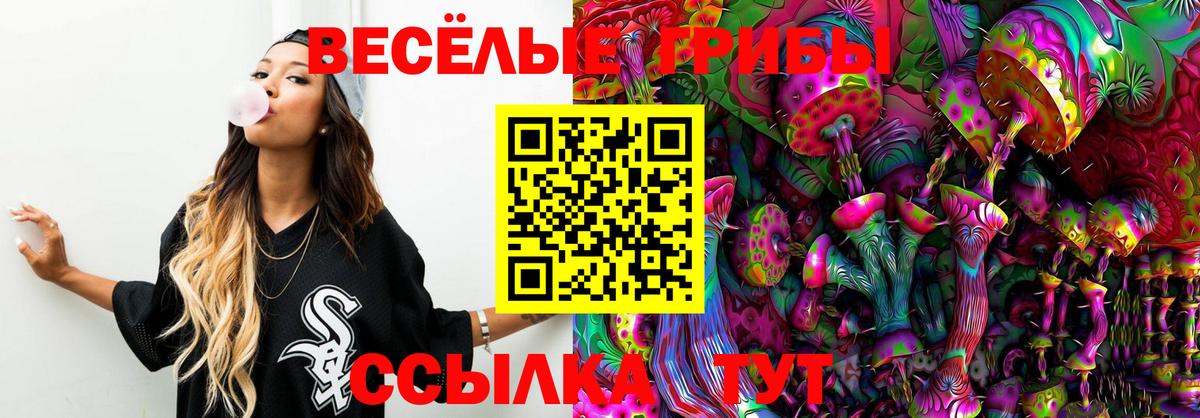 Галлюциногенные грибы Psilocybe  Вход с VPN  Старая Купавна 